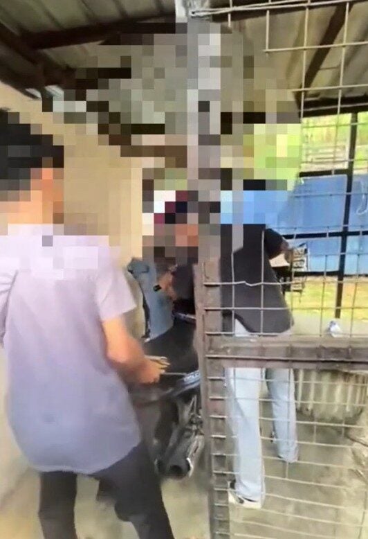 Screenshot 2025 05 05 115821