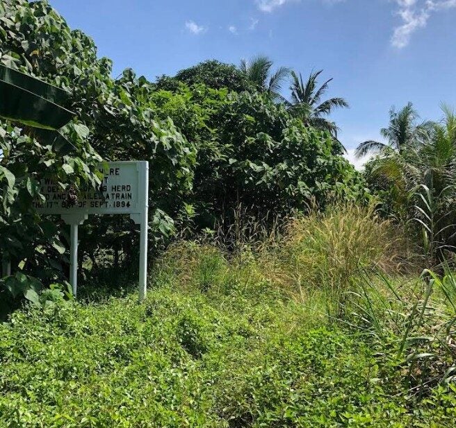 Screenshot 2025 05 13 124142