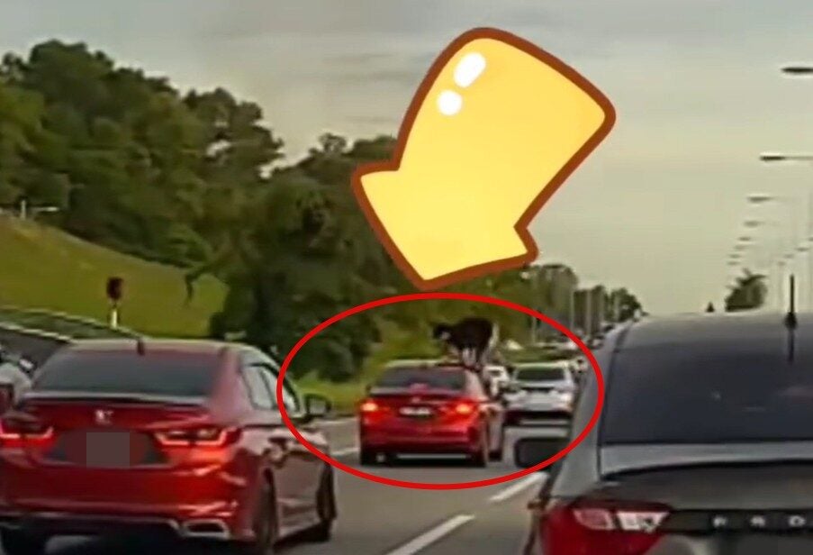 Screenshot 2025 05 15 160700