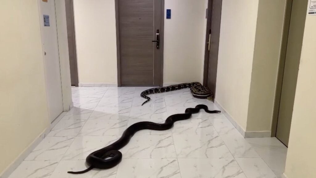 Screenshot 2025 05 21 at 4.41.51 PM e1747816994418