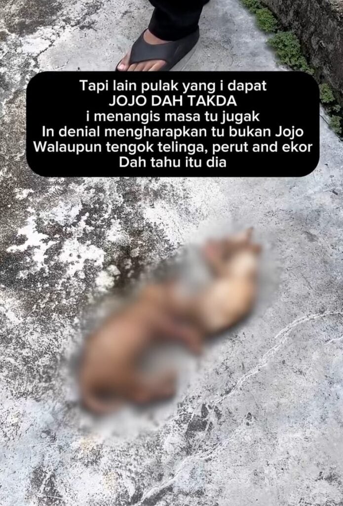 Screenshot 2025 05 26 at 4.09.37 PM