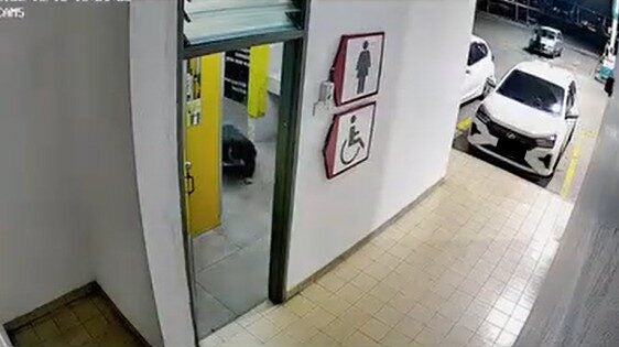 Screenshot 2025 05 30 162532