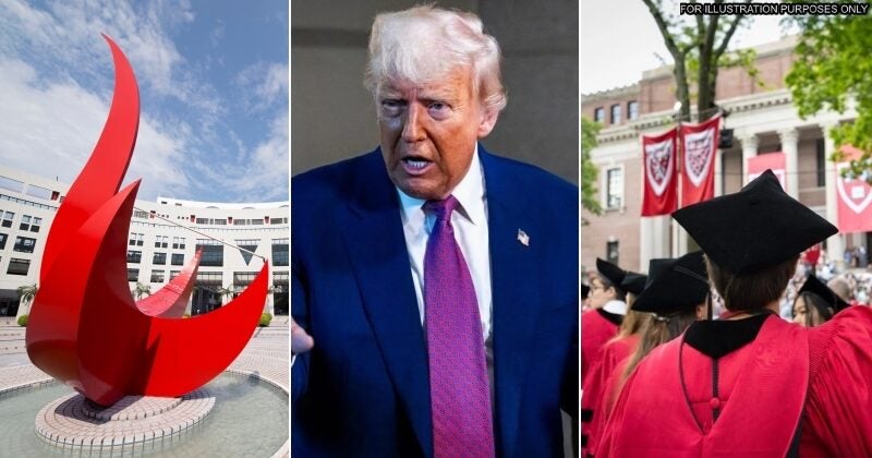 feat image hk harvard