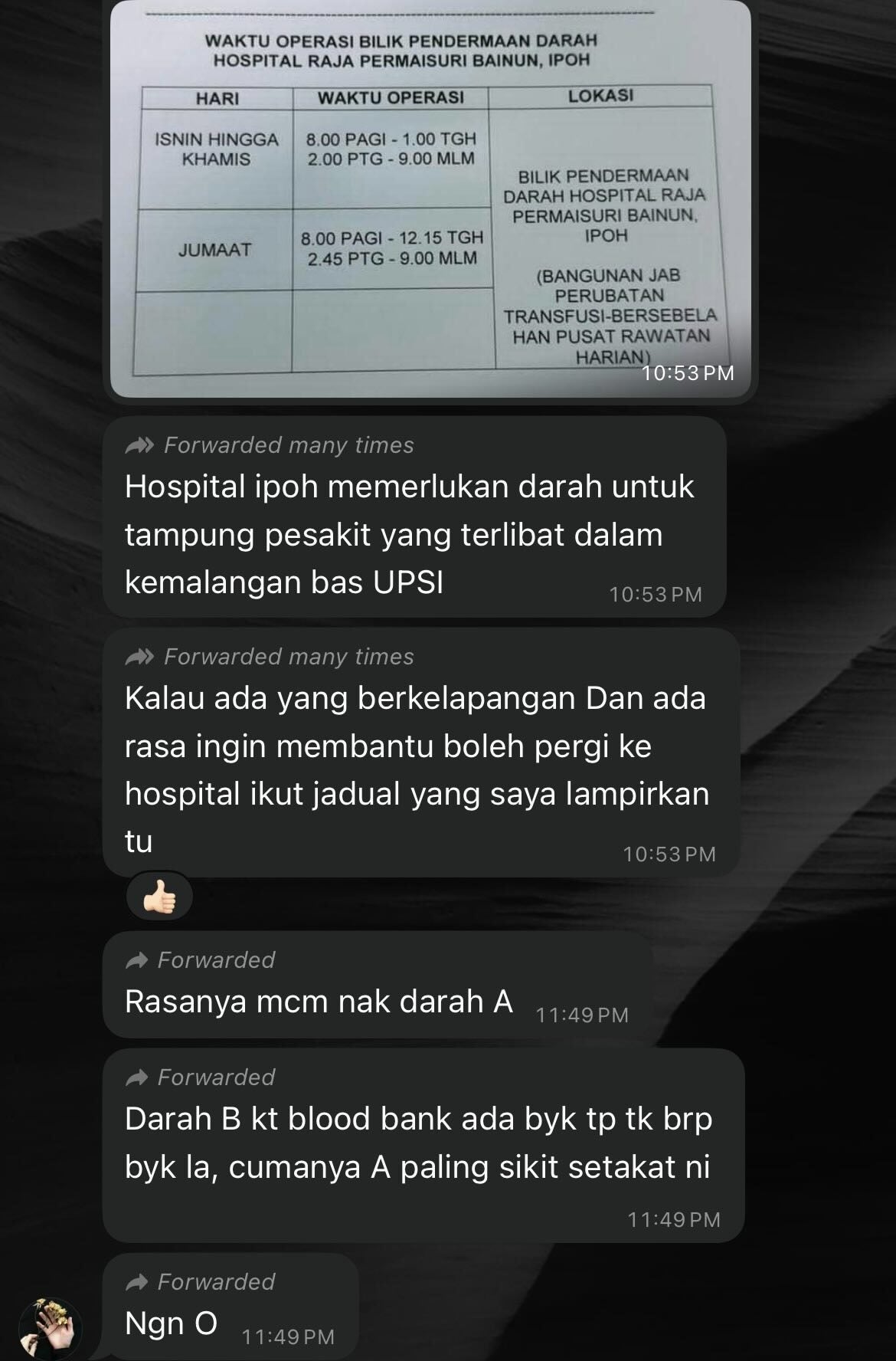 504200910 17854570572451357 3933001666971169594 n