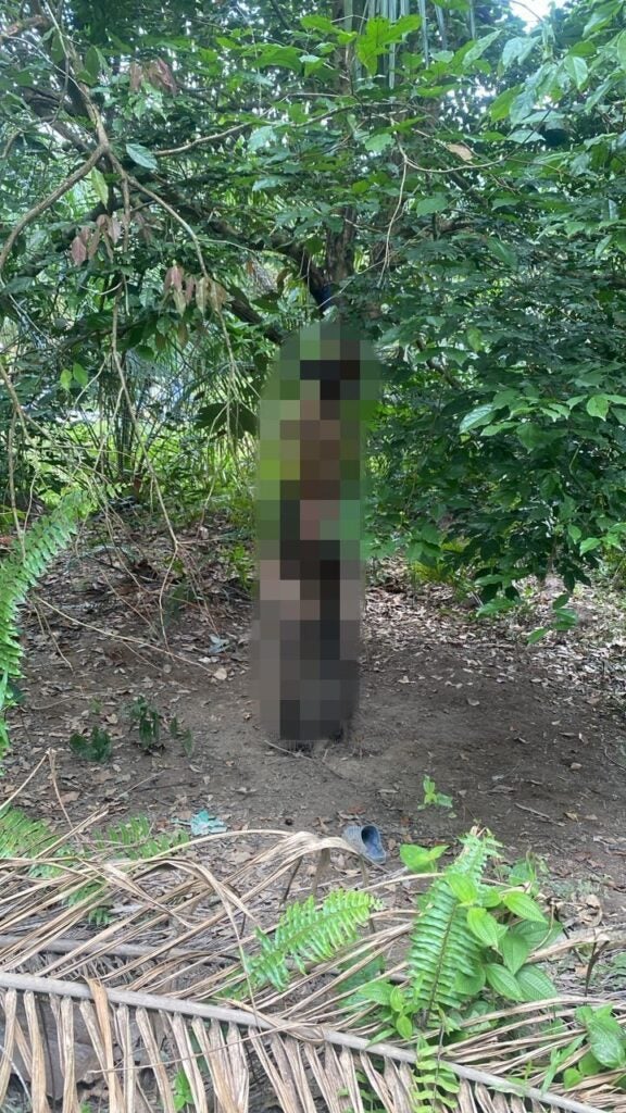 508409276 1130032619151279 6981438519547664476 n