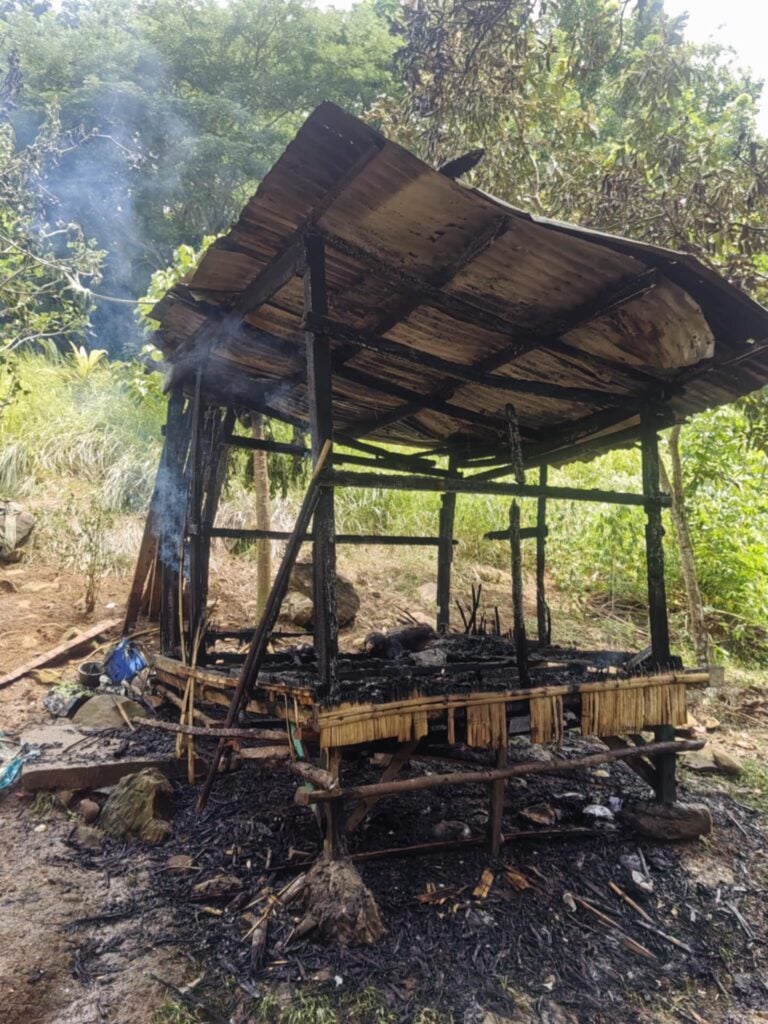 513826612 1301482044879321 4072369096880859293 n