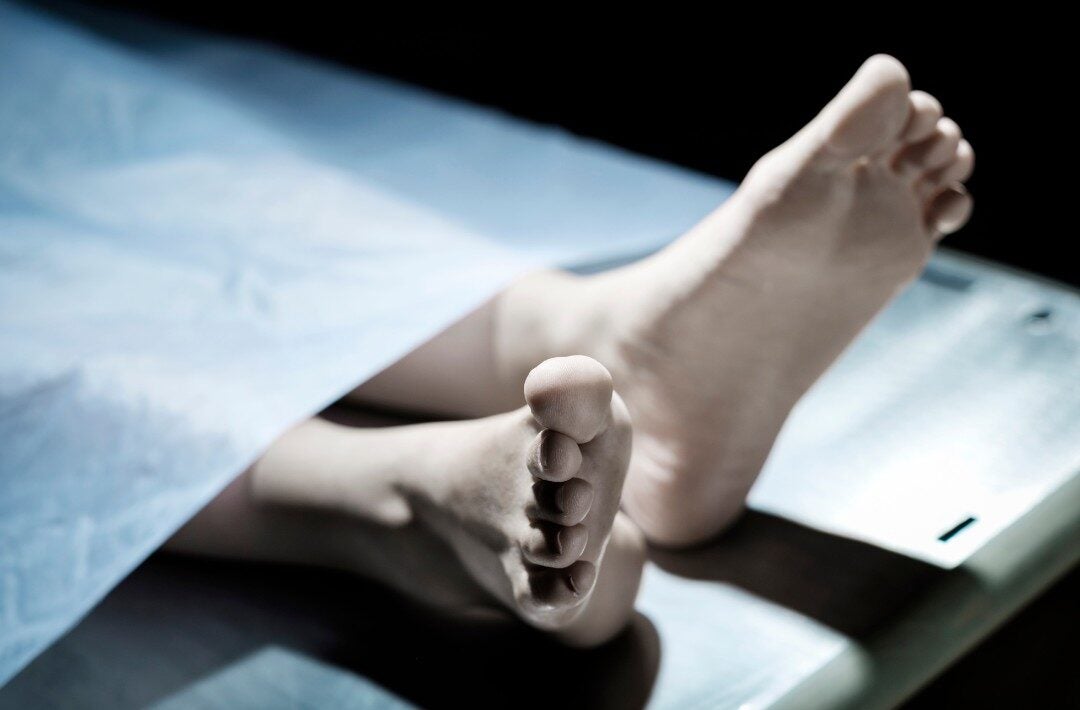 Didis Canva Do Not Touch 1