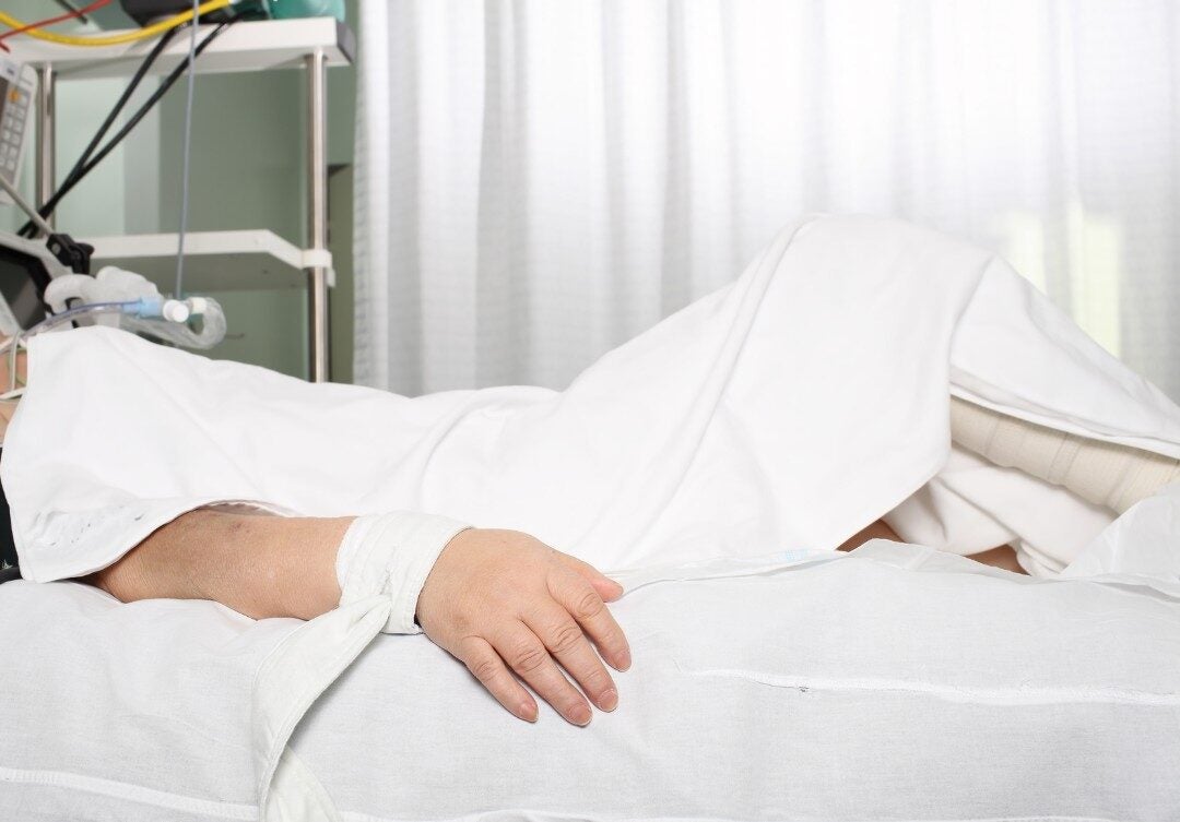 Didis Canva Do Not Touch 18