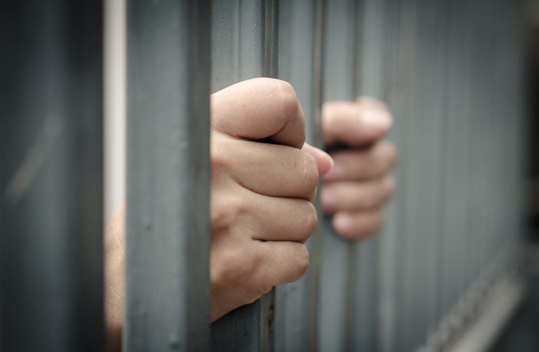 Didis Canva Do Not Touch 30