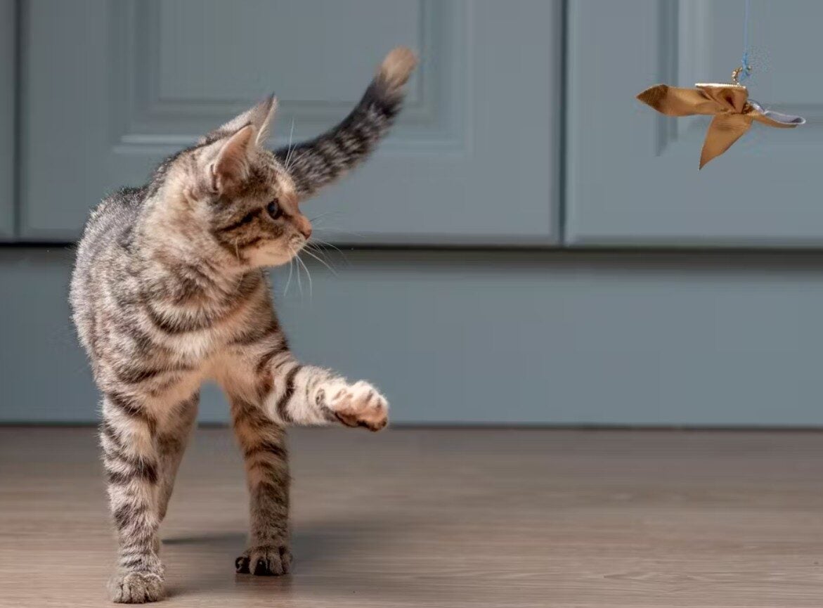 Screenshot 2025 06 03 122412