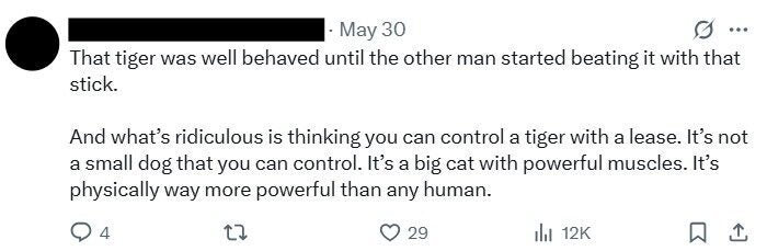 Screenshot 2025 06 04 101120