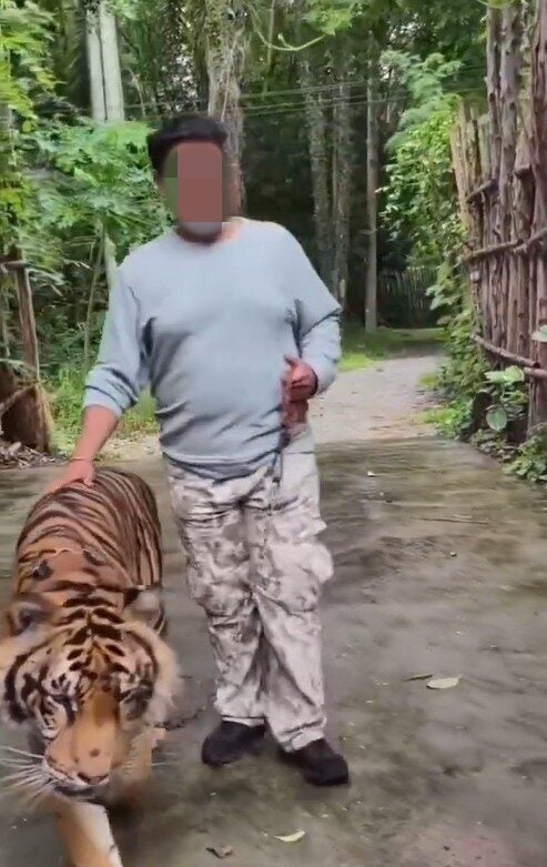 Screenshot 2025 06 04 102911