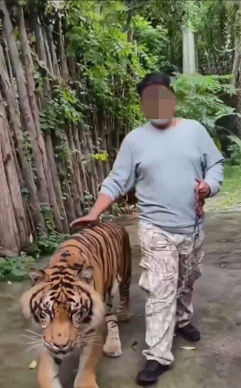 Screenshot 2025 06 04 102930