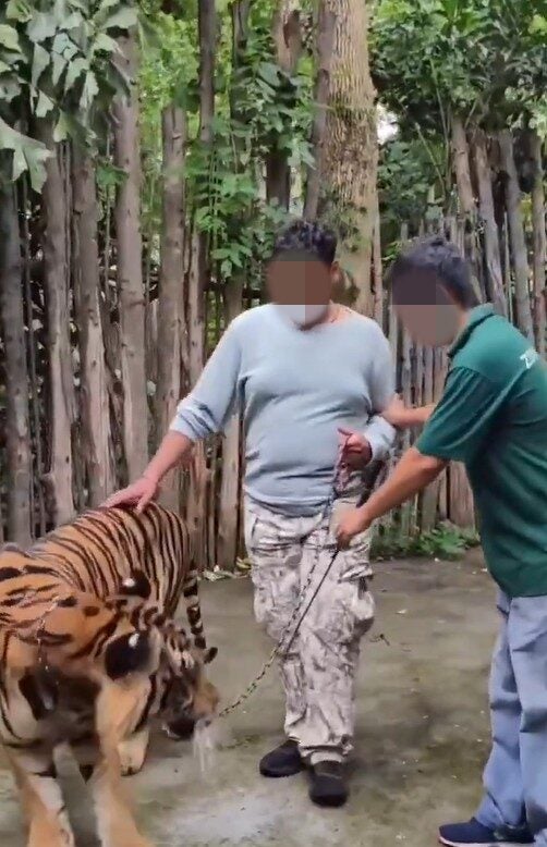 Screenshot 2025 06 04 102956