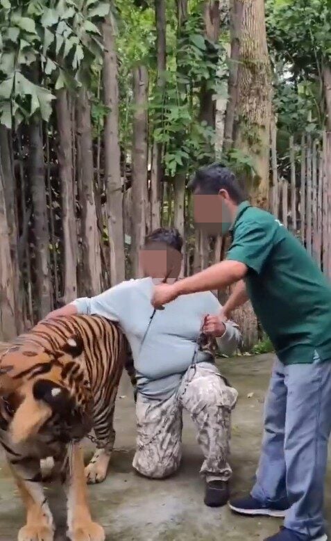 Screenshot 2025 06 04 103019