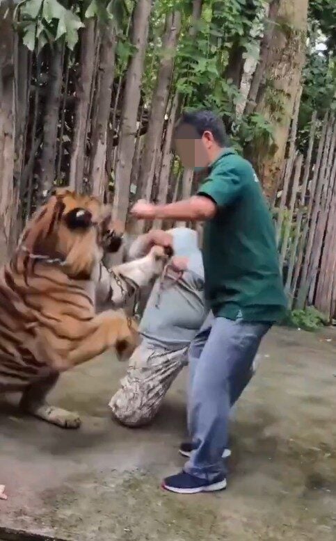 Screenshot 2025 06 04 103033