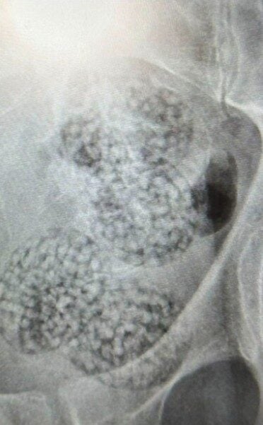 Screenshot 2025 06 13 113426