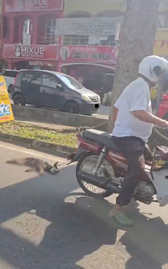 Screenshot 2025 06 16 at 4.20.55 PM