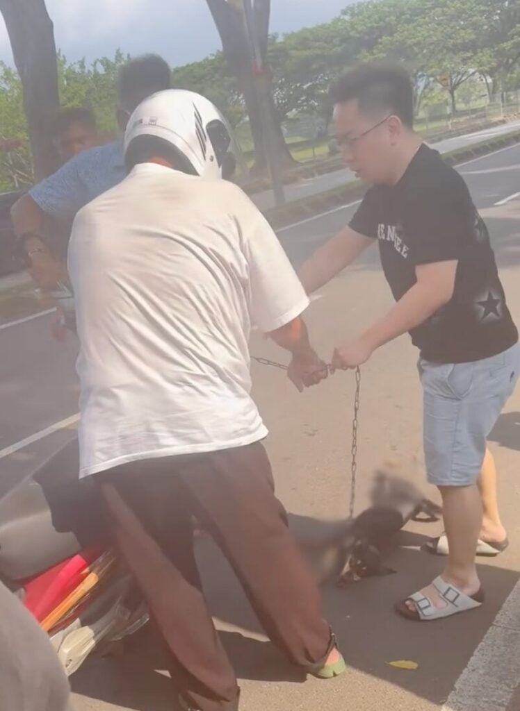 Screenshot 2025 06 16 at 4.21.46 PM