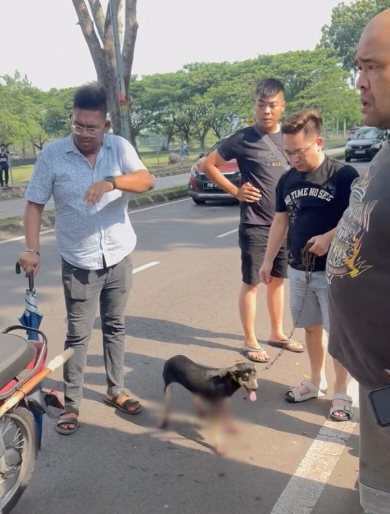 Screenshot 2025 06 16 at 4.22.42 PM