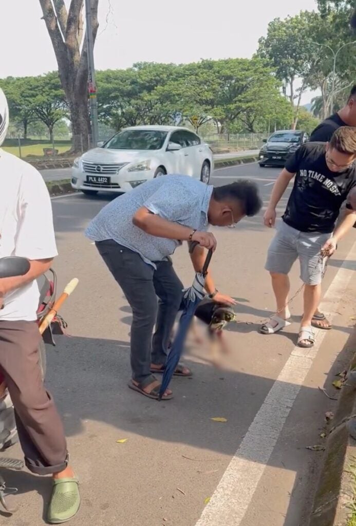 Screenshot 2025 06 16 at 4.23.13 PM