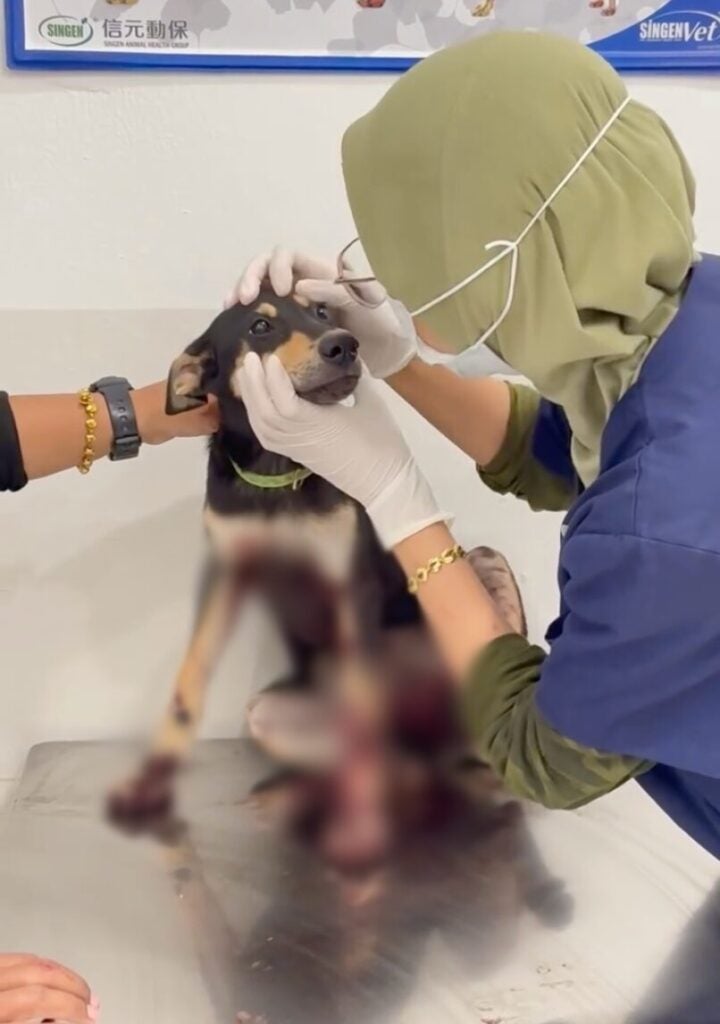 Screenshot 2025 06 16 at 4.24.15 PM