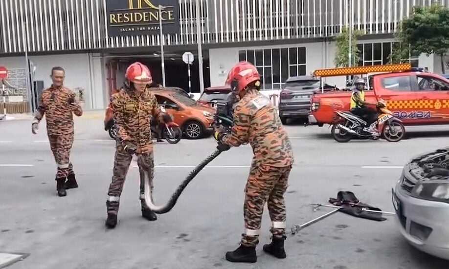 Screenshot 2025 06 18 104151