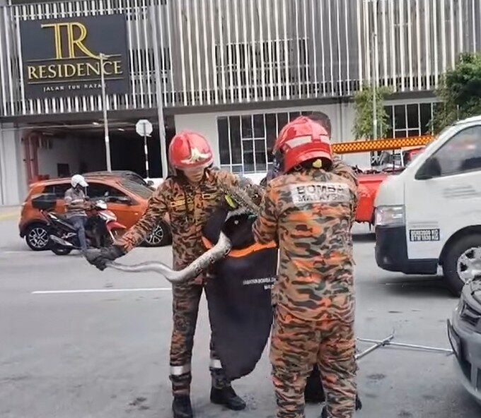 Screenshot 2025 06 18 104210