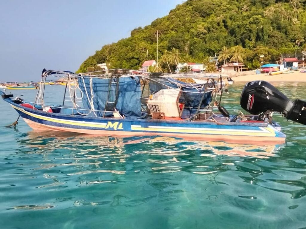 514313829 1215170393984397 7619531303215939544 n