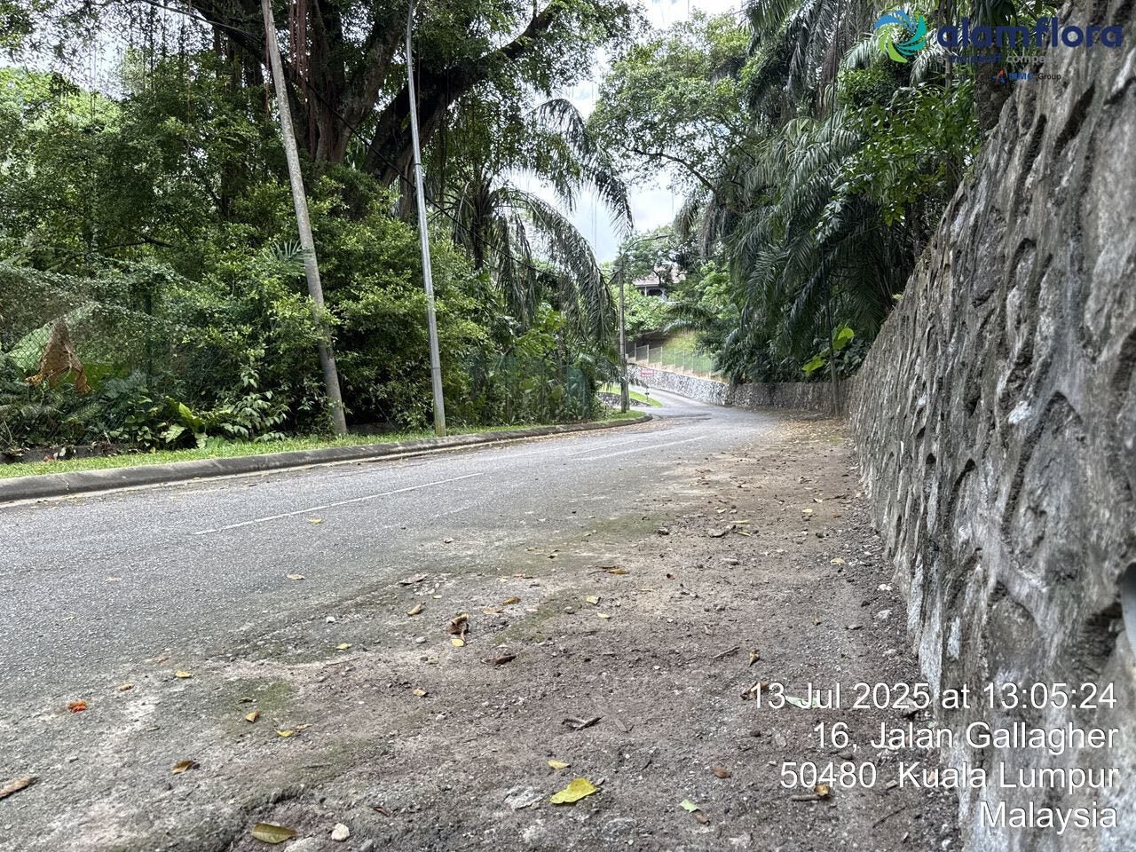 516820673 1286331396388880 2795958358708316529 n