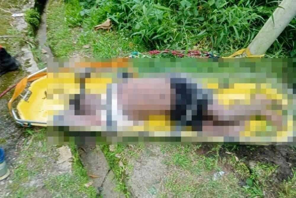 518251837 1202367661930456 529588364762439149 n