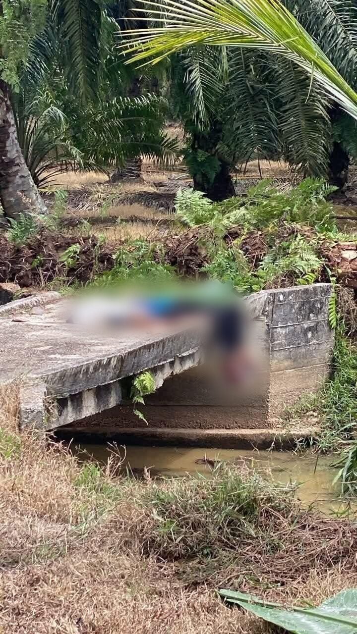 518300632 1316736289811459 4688476211183232838 n