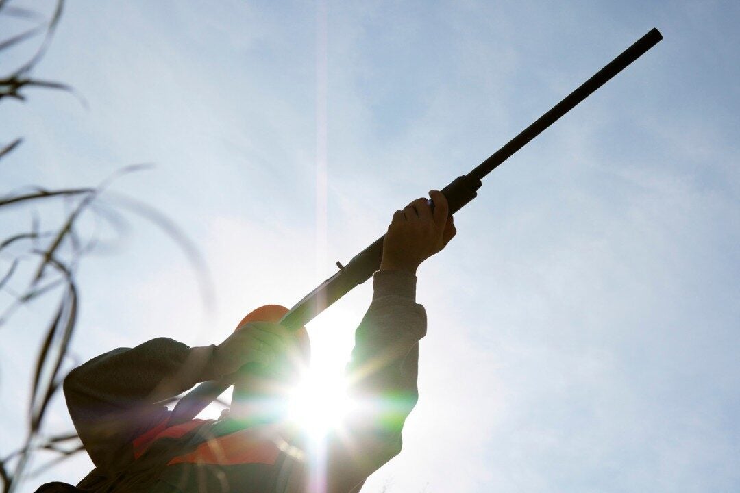 Didis Canva Do Not Touch 2025 07 24T100054.683