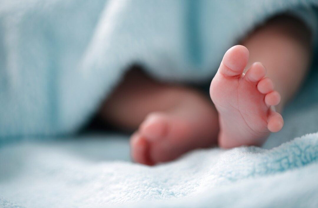 Didis Canva Do Not Touch 2025 07 24T133957.480