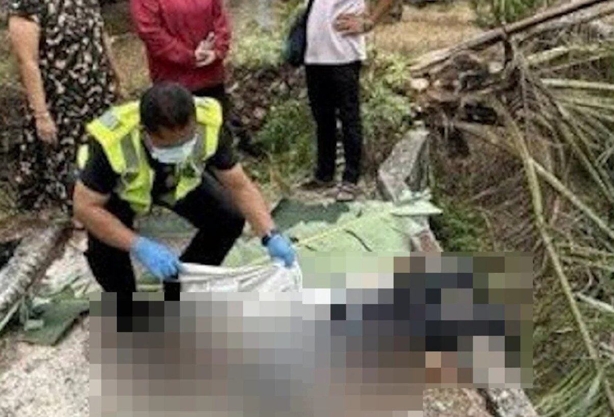 Screenshot 2025 07 17 092402