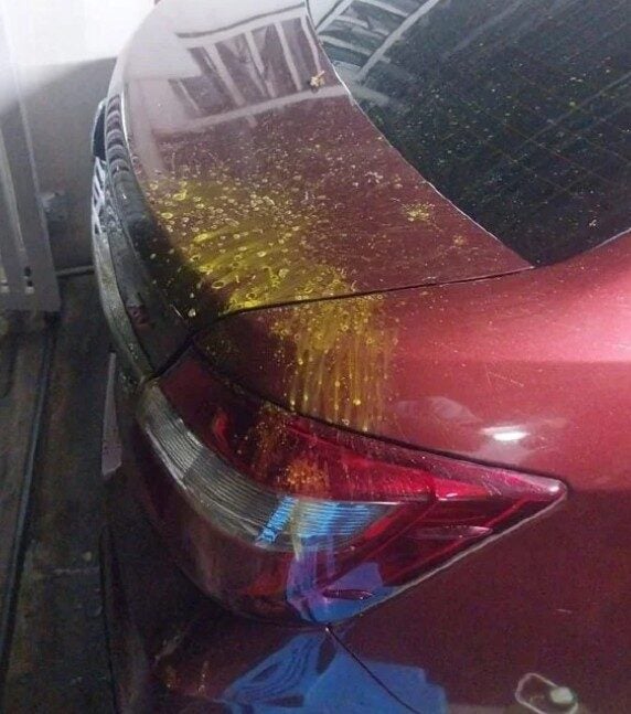 Screenshot 2025 07 20 005151