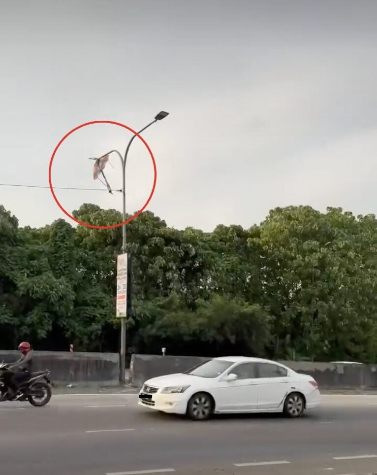 Screenshot 2025 07 21 at 4.49.33 PM 1