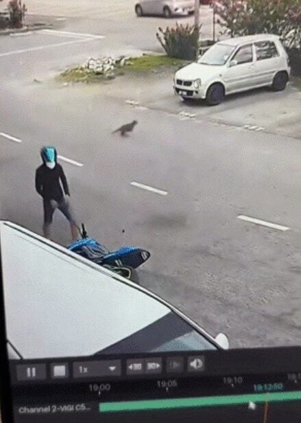 Screenshot 2025 07 23 100435