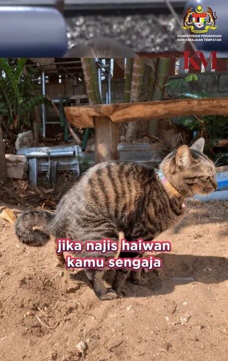 Screenshot 2025 07 24 160257