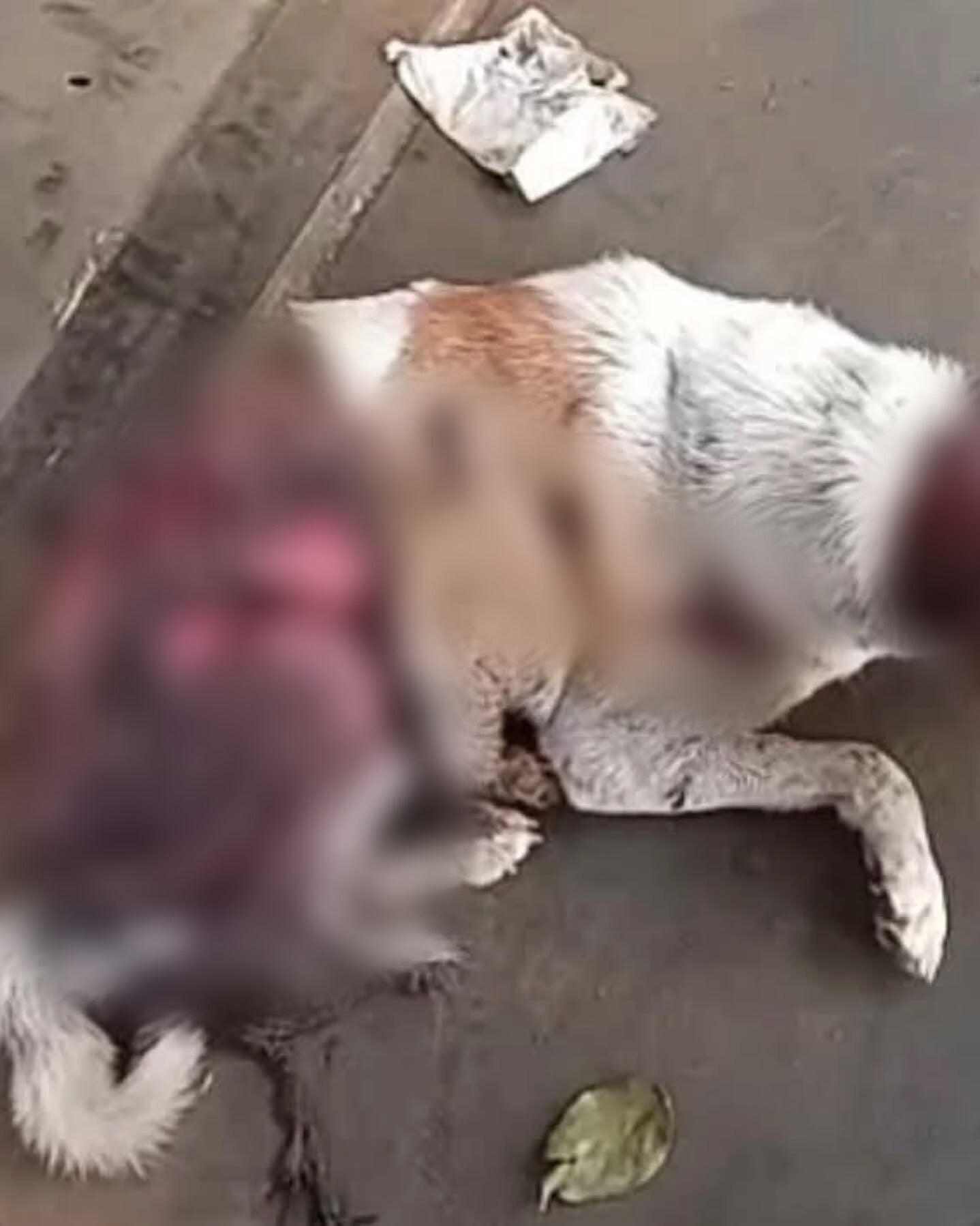 532865655 18064438472189726 2871172993289712759 n