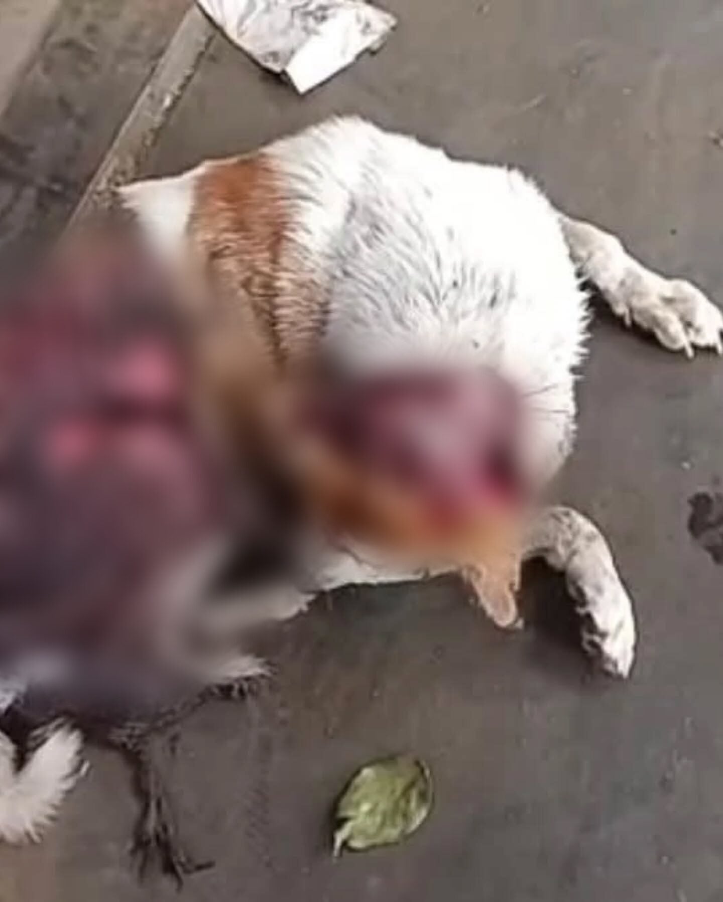 534197098 18064438463189726 4124012904111341602 n