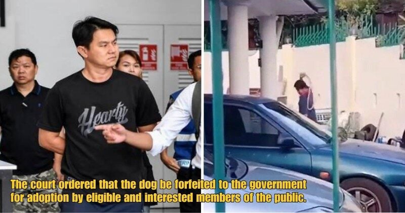 Dd FT 2025 08 08T104315.671