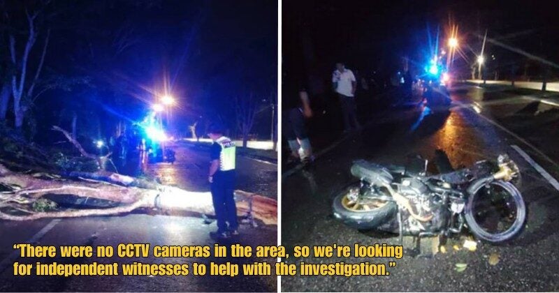 Dd FT 2025 08 12T120643.860