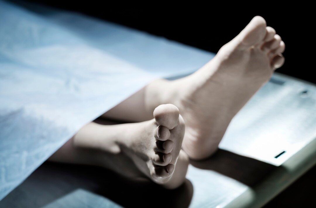 Didis Canva Do Not Touch 2025 08 01T142208.104 1