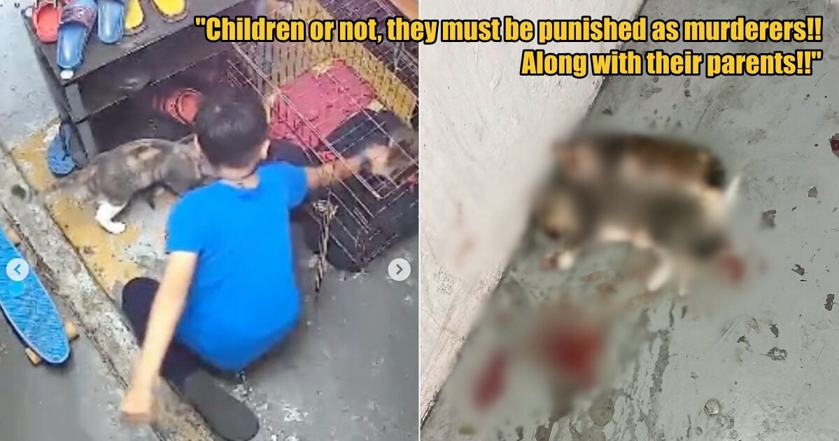 My Post 1 2025 08 11T115554.801