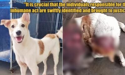 My Post 1 2025 08 22T113120.254