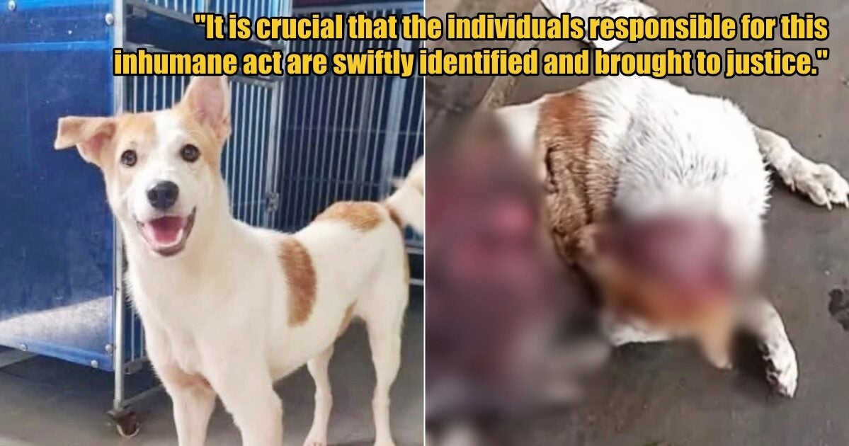 My Post 1 2025 08 22T113120.254