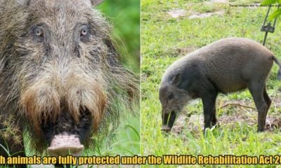 My Post 1 2025 08 28T094405.661