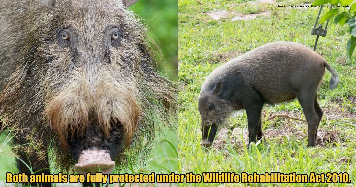 My Post 1 2025 08 28T094405.661