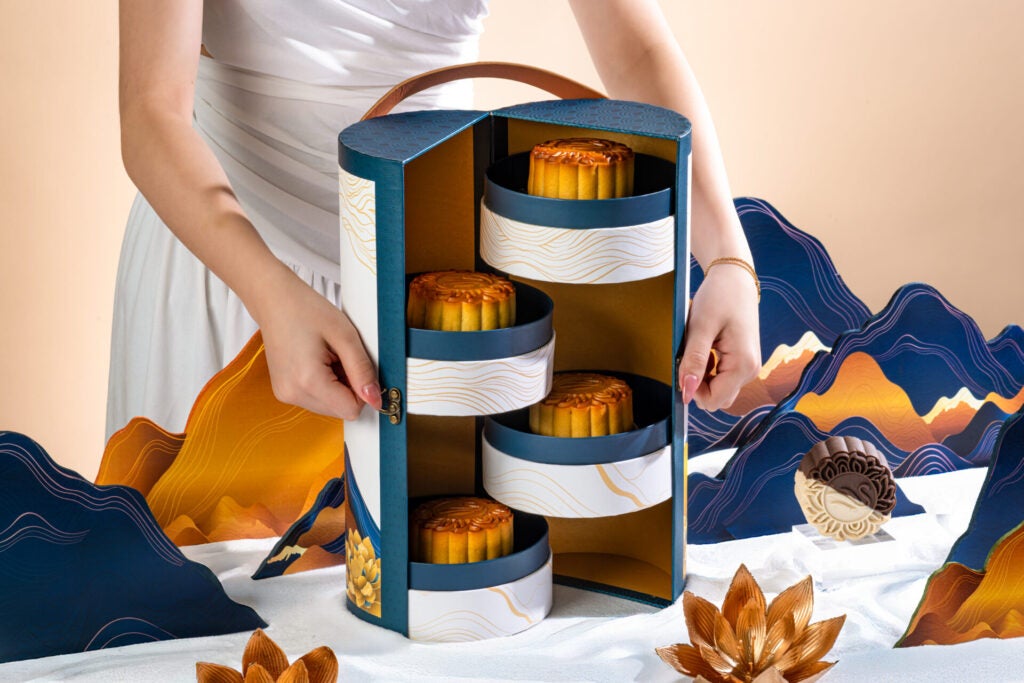 Opened Box with Model Landscape